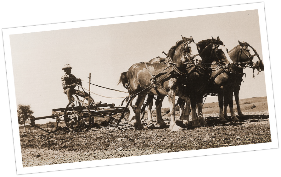 Morris_Historical